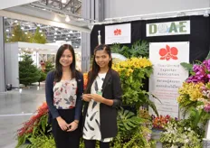Thai Orchid Exporter Association. They represent five Thai orchid export companies; Bankok Flowers, Siam Floewrs, Sun International Flower, Oriental Bloom and Pragoon Orchid.