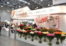 Russian rose grower.