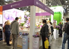 Many attention for the flower arrangements,