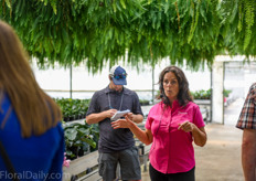 Carrie Oorsprong explained that the Medinilla is a very labour intensive crop and requires many different climates during various production stages. Therefore Northend installed a moving bench system with roller conveyors to transport the plants across the operations.