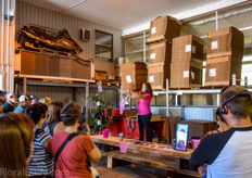 Northend introduced several tools to position the Medinilla in the market. Special vases, sleeves and a consumer website are among their marketing strategy.