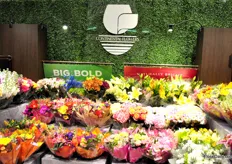 "Continental Flowers is a grower, importer and distributor of fresh cut flowers since 1974. They produce "Alstroejewels®" alstroemerias and "Dos Niñas®"."