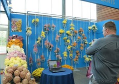 The wall of Maxim varieties at the booth of Brandkamp attracted a lot of attention.