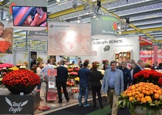 The booth of Kordes Roses.