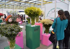 The flowers of Kenyan flower grower Kariki.