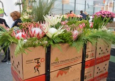 African flowers presented in the Cargolite concept.