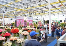 The exhibition floor.