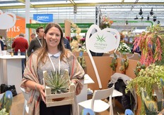 Meilin Beirerof Zunino Cactus holding the Agave Filifera.