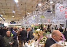 Busy in the Denmark hall (Hall 5)