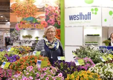 Luise Kormann of Westhoff. Last year, they introduced the Chameleon calibrachoa series. The varieties in this series change color regarding shinshine temperature and so on. According to Luise, the market is very keen on this new variety.