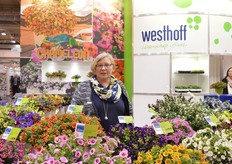 Luise Kormann of Westhoff. Last year, they introduced the Chameleon calibrachoa series. The varieties in this series change color regarding shinshine temperature and so on. According to Luise, the market is very keen on this new variety.