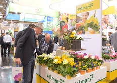 Mixes mixes and more mixes. Also at the Volmary booth, they are presenting varieties in mixes.