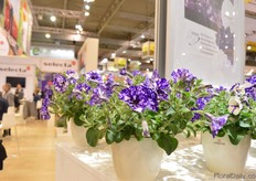 The nightsky was again well presented this year at the Selecta One booth.