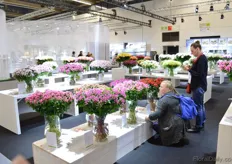 In total, 160 tables were used for presenting flowers an plants. They were categorized per variety.