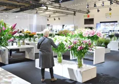 This way of presenting enables the visitors (Florists, garden centers, retailers and so on) to quickly select their favorites and compare them.
