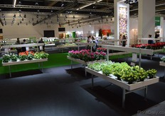 The presentation tables.