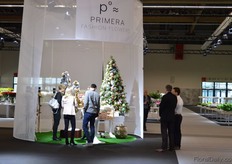 Primera Fashion Flowers.