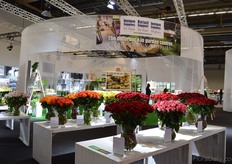 De Haan Retail Support Group