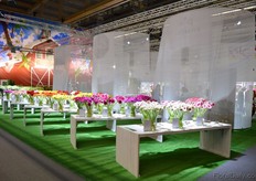 Presentation tables in the area.