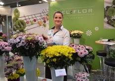 Lejla Begovic of Deliflor. The yellow-colored chrysanthemum, called Copa, has been introduced this year.