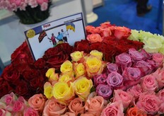 Flowers from Invos Flowers.