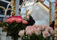 The roses of Ascania, one of the largest Ukrainian rose growers.