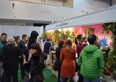 Visitors love to take pictures of the flowers.