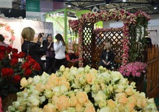 The pergola of roses was often used as a decor for a picture.
