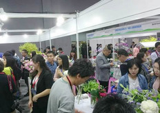 Exhibition floor.