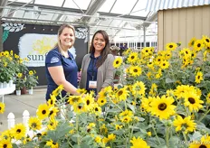 Alicain Carlson and Nicole Kubota presenting the new Sunfinity. At the trials, there was a big focus on this sunflower. It offers nonstop blooming, multiple branches and more flowers all season long.