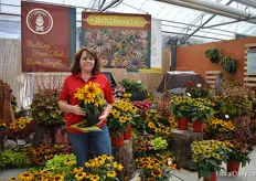 Jen Miner of Pacific Plug & Liner holding the new Euchibeckia Butterscotch Biscuit, a new variety in the lineup of Pacific Plug & Liner. It has a bright buttery flower color with a light eye and is the largest flowers in the series. This variety is more aggressive in growth and is best in larger containers. The bloom time for Butterscotch Biscuit is late, similar to Yellow, so it is great for summer and fall sales and is hardy to USDA zone 7-9.