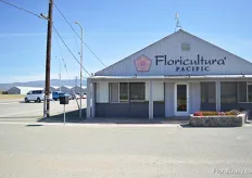 At Floricultura in Salinas. At this location, Beekenkamp, Flamingo Holland, Gediflora, PAC-Elsner, Plug Connection, and Westhoff were showcasing their varieties.