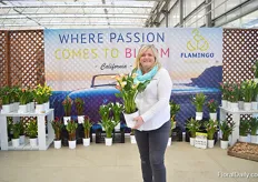 Kathy McKay of Flamingo Holland holding the new calla called Royal Dutchness. The flower of this calla turns from yellow to pink.