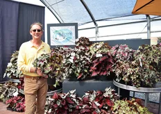 Steve Jones of Greenfuse with the Begonia Dibs Cherry Mint. The size of the plant and the leaf is large. The plants can be put indoors and outdoors.