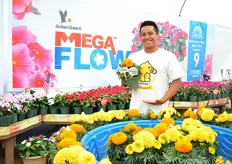 jeremy Buenaventura of Ameriseed presenting the Marigold Little Duck. It has 4 to 5 flowers per plant, a ball shaped flower and no PGR's are needed.
