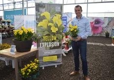 Lennaert Kapiteijn of Kapiteijn Flowerbulbs holding the Captain Solo. This Calla variety flowers early, has many and large flowers and a long shelf life. The flowers and stems of this compact plant will stay steady and straight up until the final phase of flowering.