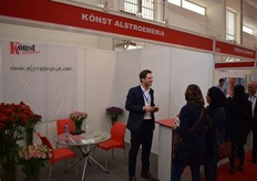 Tjerk Veening of Könst Alstroemeria.