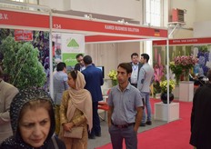 Kamed Business Solution.