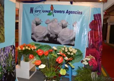 Neptune Flower Agencies is one of a very view growers growing anthurium.