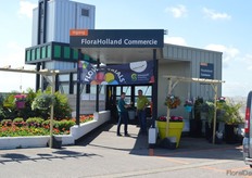 Selecta One and Schoneveld Breeding were presenting their novelties at the Monsterkas in Honselersdijk.