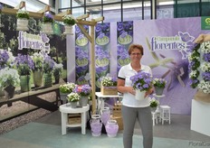 Miranda Borgenjen of Schoneveld Breeding holding the Campanula Florentes. This is a new seed series of Schoneveld Breeding and currently consists of a blue and white colored campanula. The number of flowers and longlivety of the flowers are said to make it a unique plant.