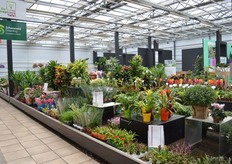 Sample greenhouse at the Monsterkas.