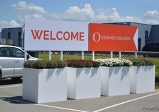 This year, Dümmen Orange is presenting its varieties at a new location, in Naaldwijk. This because they, on the one hand, needed more space, and on the other hand want to comply to the phytosanitary regulations at their own breeding location.