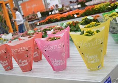 The new paper sleeve f the Calanday.