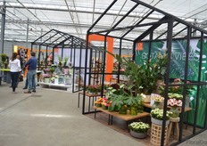 At Dümmen Orange, they did not only showcased their products, also how they fit into different trends and how they can be presented at retailers. The four different trends they showed are Scandinavian vibes - clean and natural colors, future vibes - Funky shapes and daring combinations, City vibes - showing how people can use plants in smaller city gardens, and Botanic vibes - the combination of romance an vintage. This photo showcases this latter trend.