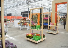 Some retail concepts presented at Dümmen Orange.