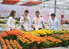 Carolien van der Goes of Dümmen Orange showing visitors their kalanchoe assortment.