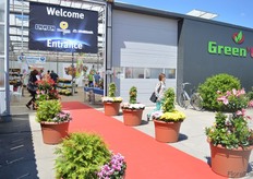 At Green05 in Maasdijk, DHMI, Brandkamp, Varinova and Schneider Youngplants were presenting their products.