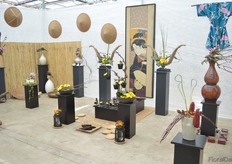 Chrysanthemums are, among others, very popular in Japan. For this reason, Brandkamp dedicated an area of their trial location to show how chrysanthemums fit in the Japanese style.