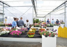 At Schneider Youngplants.